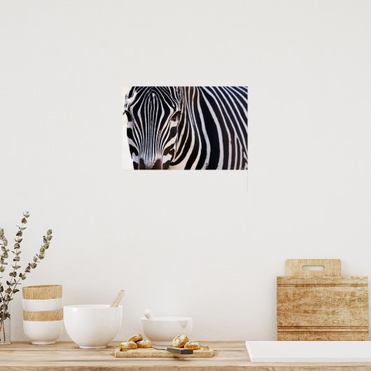 Waar is het Zebra Poster? Poster (Keuken)