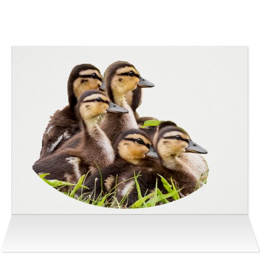 Waar is mama? (Binnen Horizontaal (Boven))