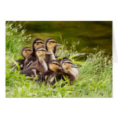 Waar is mama? (Voorkant Horizontaal)