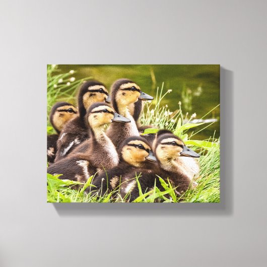 Waar is mama? canvas afdruk (Voorkant)