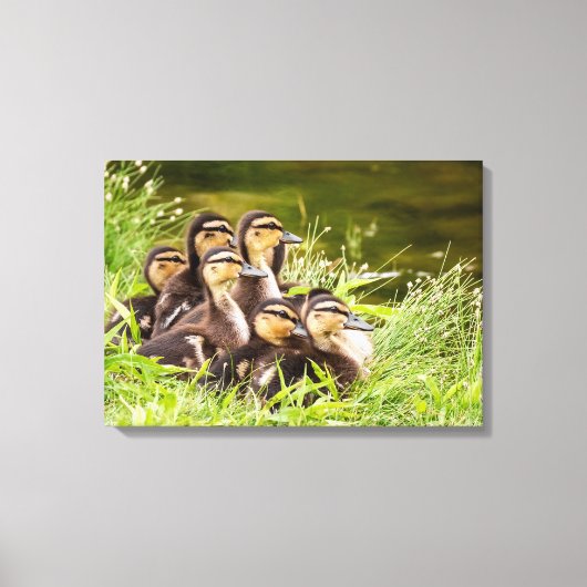 Waar is mama? canvas afdruk (Voorkant)