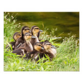 Waar is mama? foto afdruk (Voorkant)