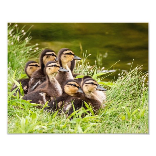 Waar is mama? foto afdruk (Voorkant)