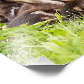 Waar is mama? foto afdruk (Hoek)