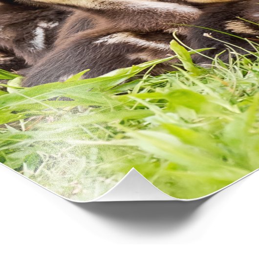 Waar is mama? foto afdruk (Hoek)