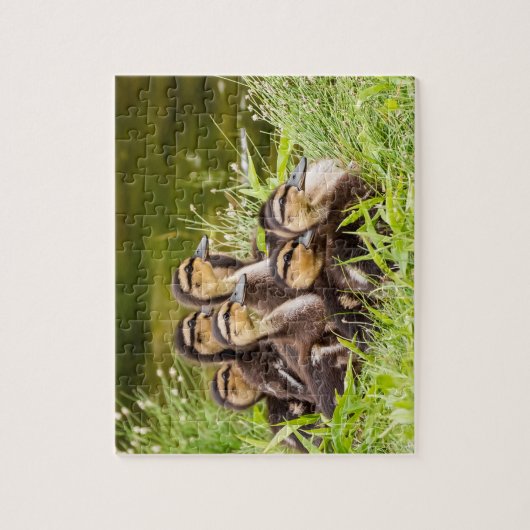 Waar is mama? legpuzzel (Verticaal)