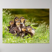 Waar is mama? poster (Voorkant)