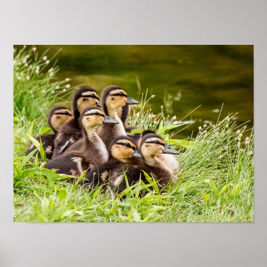 Waar is mama? poster (Voorkant)