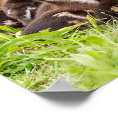 Waar is mama? poster (Hoek)