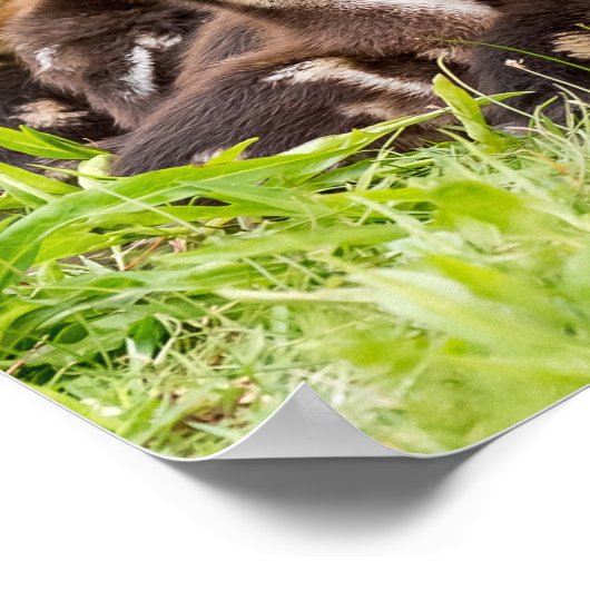 Waar is mama? poster (Hoek)