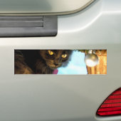 Waar is Mijn Cadeaus? Bumpersticker (Op auto)