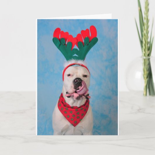 Waar is mijn eierdrank? feestdagen kaart (Voorkant)