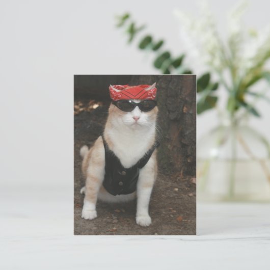 Waar is mijn hond? briefkaart (Staand voorkant)