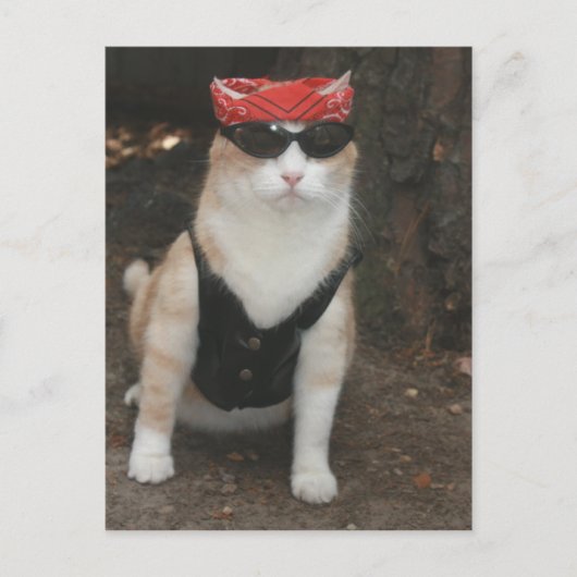 Waar is mijn hond? briefkaart (Voorkant)