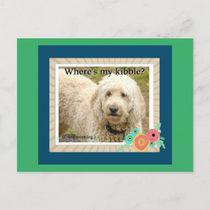 Waar is mijn Kibble, Goedemorgen Briefkaart