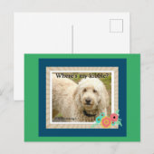 Waar is mijn Kibble, Goedemorgen Briefkaart (Voorkant / Achterkant)