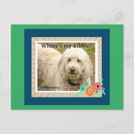 Waar is mijn Kibble, Goedemorgen Briefkaart (Voorkant)