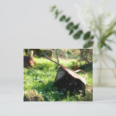 Waar is Peter Rabbit? Briefkaart (Staand voorkant)