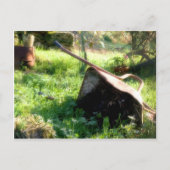 Waar is Peter Rabbit? Briefkaart (Voorkant)