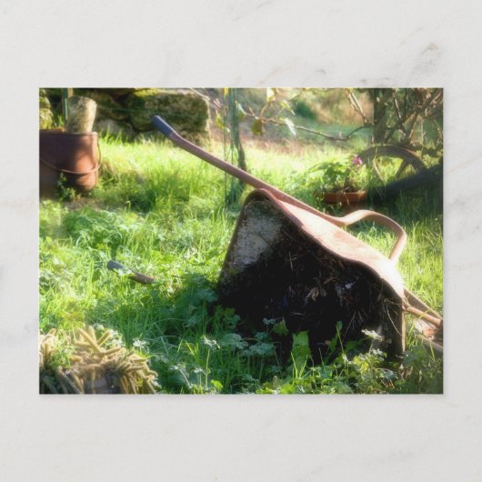 Waar is Peter Rabbit? Briefkaart (Voorkant)