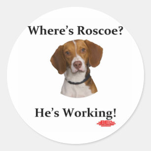 Waar is Roscoe? Ronde Sticker