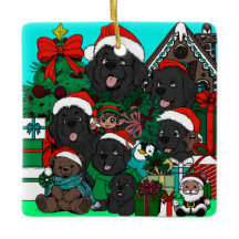 Waar is (Waldo) Newfy? (Rood)