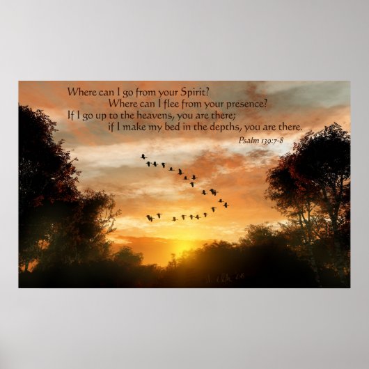 Waar kan ik vliegen? poster (Voorkant)