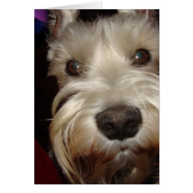 Waar kijk je naar? (Voorkant)