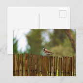 Waar kijk je naar? briefkaart (Voorkant / Achterkant)