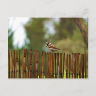 Waar kijk je naar? briefkaart