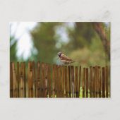 Waar kijk je naar? briefkaart (Voorkant)