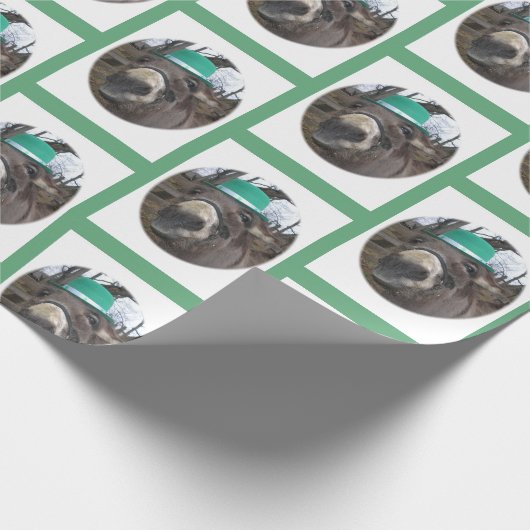 "Waar kijk je naar?" Cadeaupapier (Hoek)