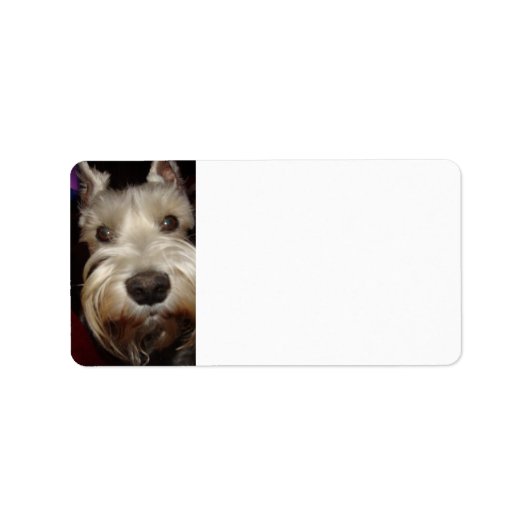 Waar kijk je naar? etiket (Voorkant)