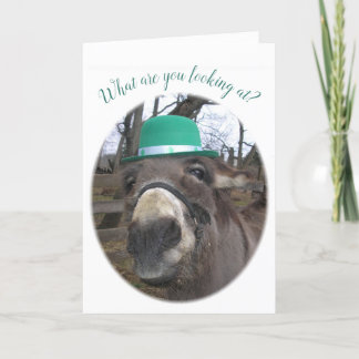 "Waar kijk je naar?" Kaart