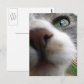 Waar kijk je naar? Kat Briefkaart (Voorkant / Achterkant)