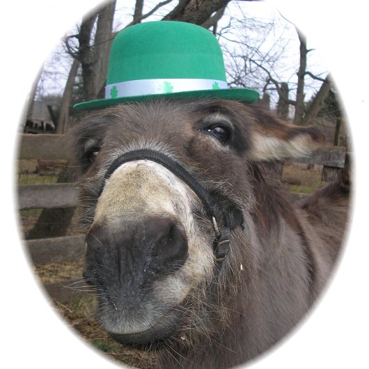 "Waar kijk je naar?" Pokerkaarten