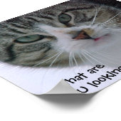 Waar kijk je naar?!!! poster (Hoek)