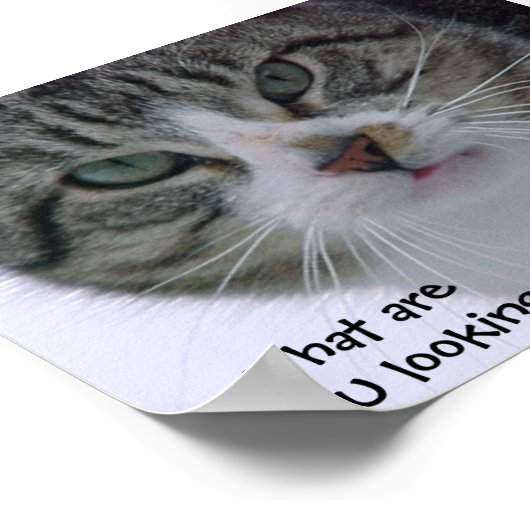 Waar kijk je naar?!!! poster (Hoek)