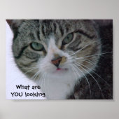 Waar kijk je naar?!!! poster (Voorkant)