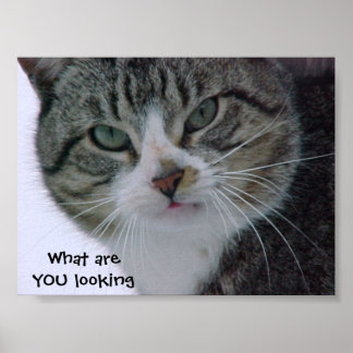 Waar kijk je naar?!!! poster