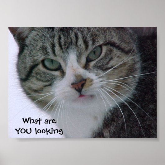 Waar kijk je naar?!!! poster (Voorkant)