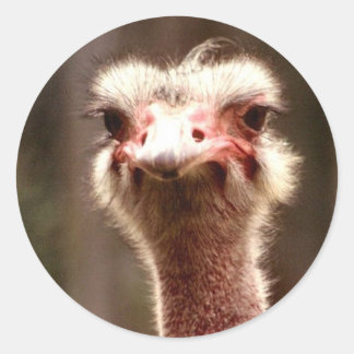 Waar kijk je naar? ronde sticker