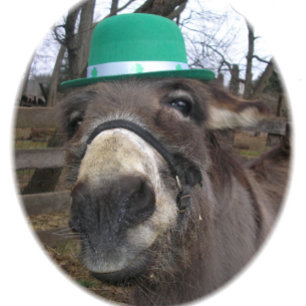 "Waar kijk je naar?" T-shirt