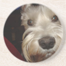 Waar kijk je naar? zandsteen onderzetter