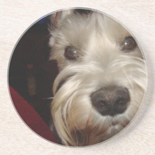 Waar kijk je naar? zandsteen onderzetter (Voorkant)