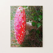 Waar Leprechauns of waar de kleine mensen wonen. Legpuzzel (Verticaal)