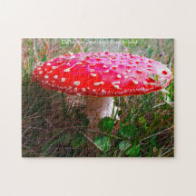 Waar Leprechauns of waar de kleine mensen wonen.