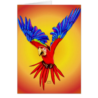 Waar moet ik landen?