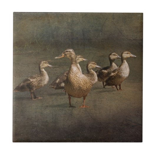 Waar nu? tegeltje (Voorkant)