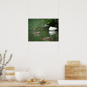 Waar slapende opbergapparaten in de afdruk zitten poster (Keuken)